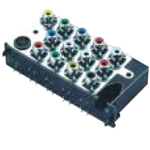 RCA13-01